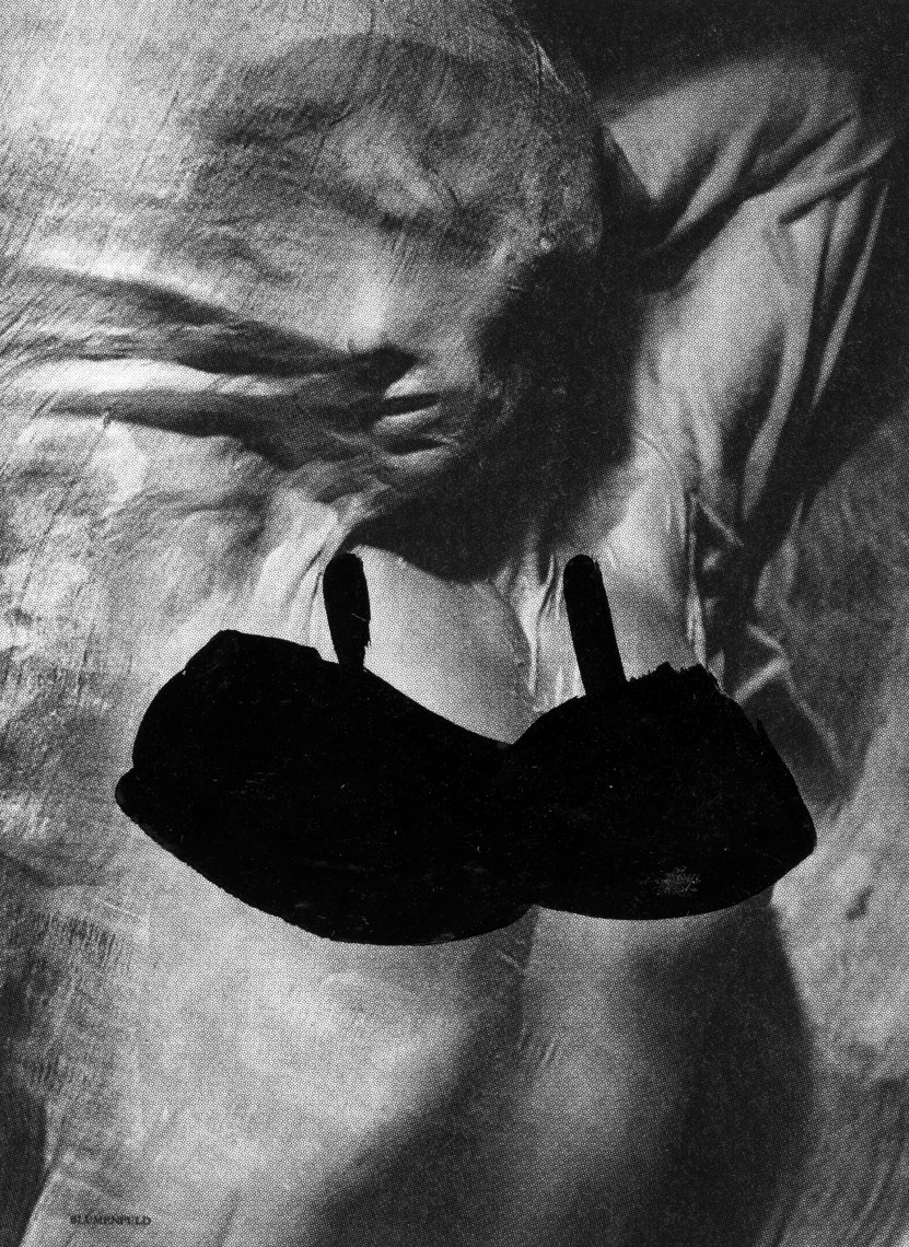 Slika 5. Erwin Brumenfeld, Verve.