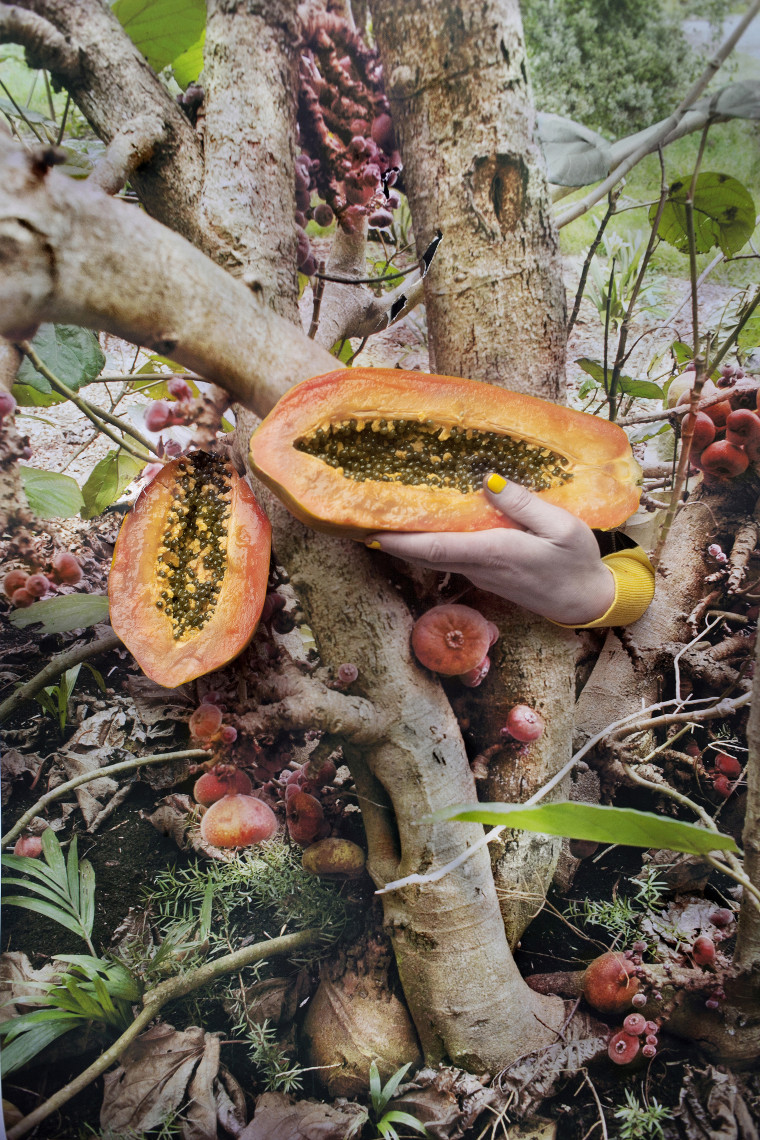 Slika 5. Vanja Bučan, Sekvence resnice in prevare (Sequences of Truth and Deception), 2015–. Z dovoljenjem avtorice.