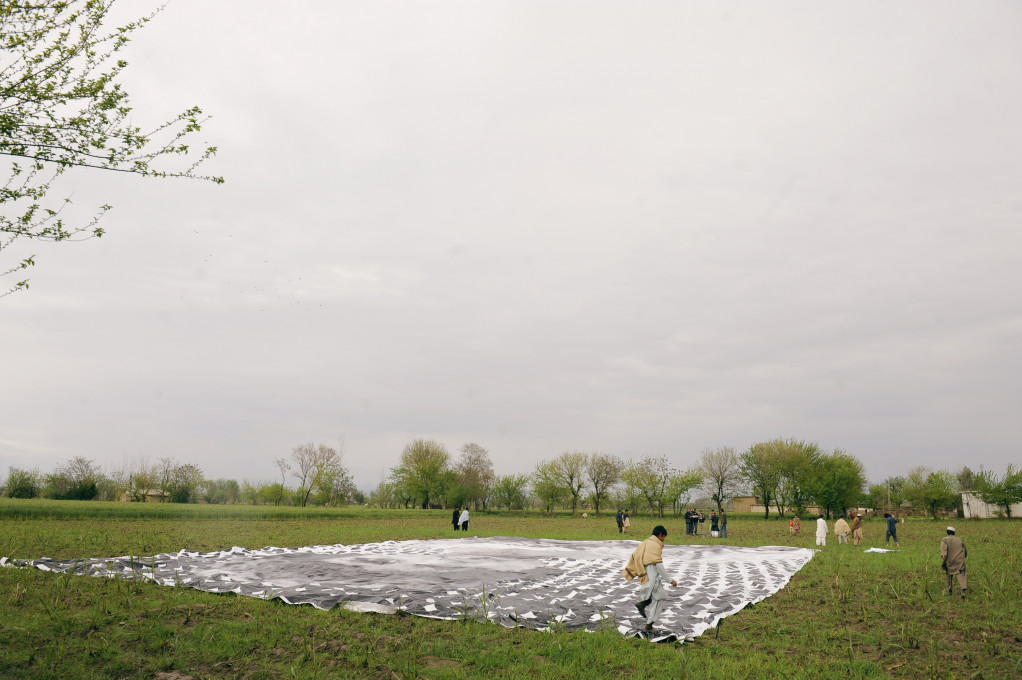 Slika 15, Projekt Ne gre za razmazan insekt (Not a Bug Splat, 2014). Priprava. Z dovoljenjem http://notabugsplat.com/.