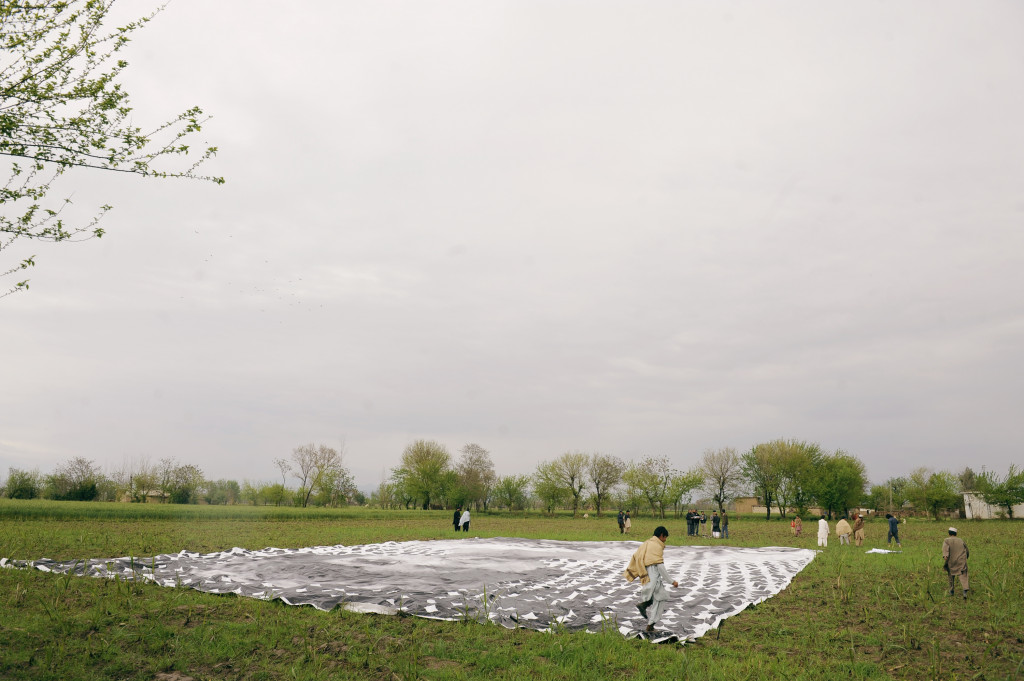 Slika 15, Projekt Ne gre za razmazan insekt (Not a Bug Splat, 2014). Priprava. Z dovoljenjem http://notabugsplat.com/.