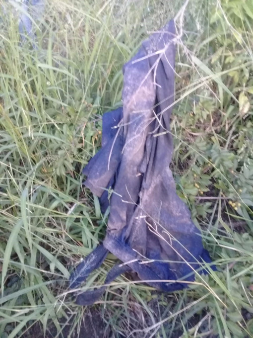 Policija Južnoafriške republike. Twitter objava z začetkom: “Komatipoort: Človeška lobanja najdena v Kruger nacionalnem parku ...” https://mobile.twitter.com/SAPoliceService/status/1114557310259617792