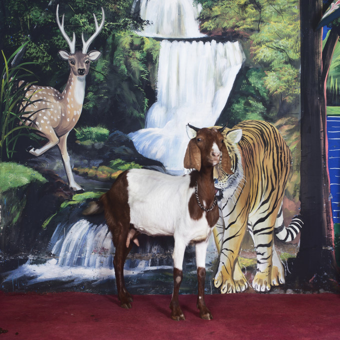 Samsul Alam Helal, iz serije Ljubezenski studio (Love Studio, 2010–2015).