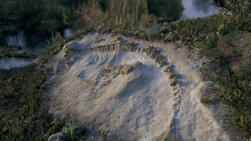 Joan Fontcuberta: Hydropitecus of Cerro de San Vicente, from Sirens series, 2006.