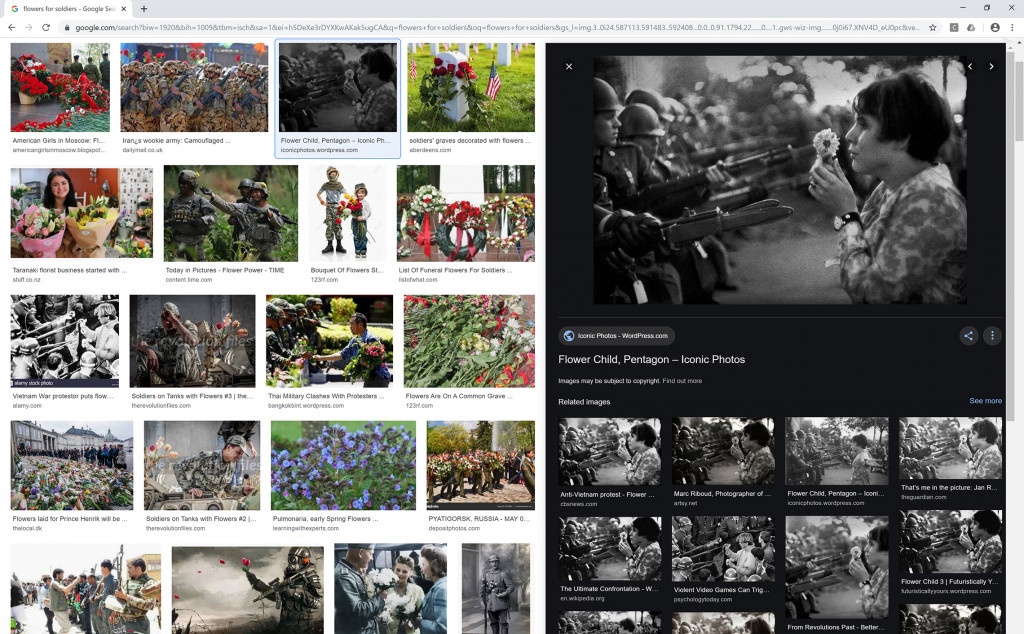 Nataša Ilec: Protest, Symbol, and Web Browser. Google image search. Search word: “Flowers for Soldiers”. Screen shot, November 28, 2019.