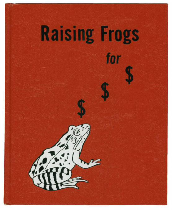 Jason Fulford : Raising Frogs for $ $ $, 2016.