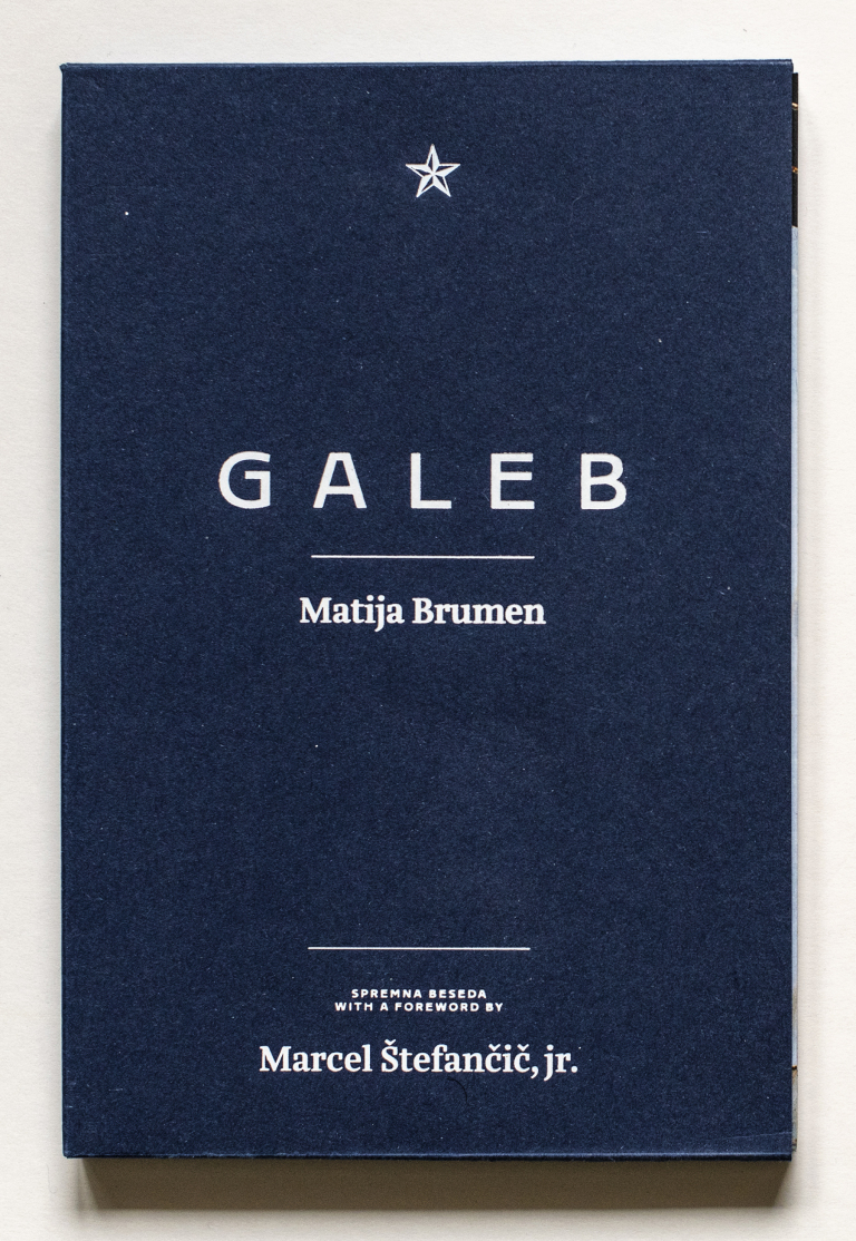 Matija Brumen, Galeb, 2021. Založba The Angry Bat.