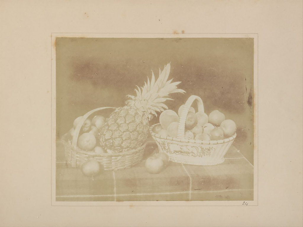 William Henry Fox Talbot, Tihožitje s sadjem, pred 1845, Metropolitan Museum of Art, New York.