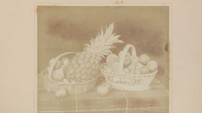 William Henry Fox Talbot, Tihožitje s sadjem, pred 1845, Metropolitan Museum of Art, New York.