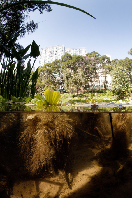 Andreas Müller-Pohle, Novi Teritoriji, dolina Shing Mun, Tsuen Wan, Hongkong, 2009.