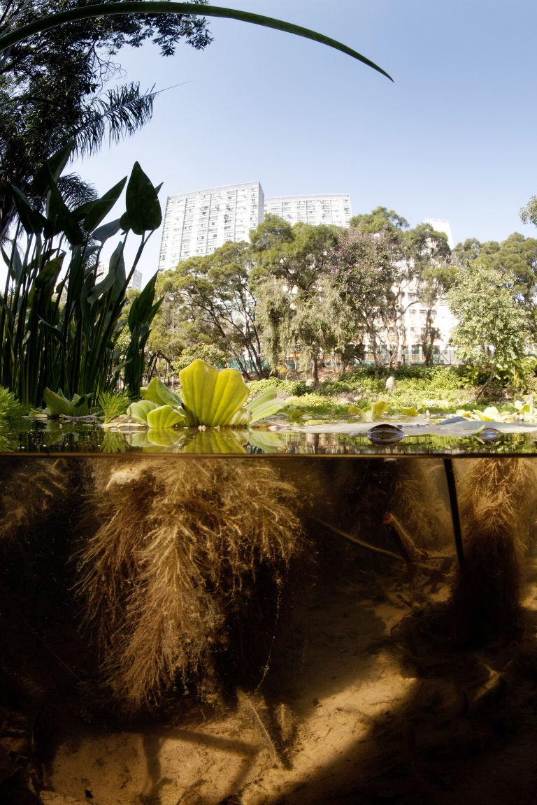 Andreas Müller-Pohle, Novi Teritoriji, dolina Shing Mun, Tsuen Wan, Hongkong, 2009.